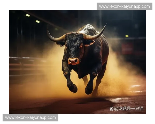 燃烧的激情，决胜的瞬间：火箭vs猛龙经典对决回顾